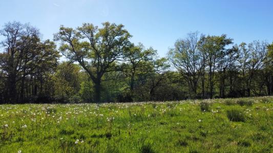 Annonce Vente Terrain Gigouzac 46