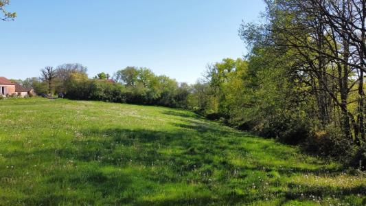 Acheter Terrain 6038 m2 Gigouzac