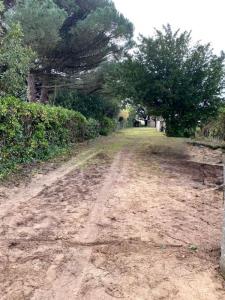 For sale Noirmoutier-en-l'ile 835 m2 Vendee (85330) photo 1
