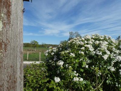 Acheter Maison 200 m2 Blain