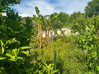 Annonce Vente 4 pi�ces Maison Coggia 20