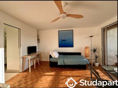 Louer Appartement 29 m2 Paris-15eme-arrondissement