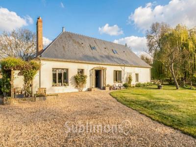 Annonce Vente 11 pi�ces Maison Thorigne-d'anjou 49