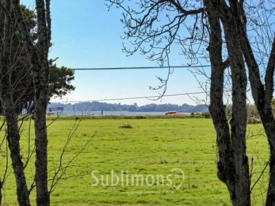 Annonce Vente 5 pi�ces Maison Baden 56