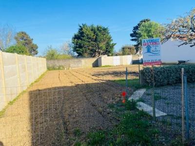 Annonce Vente Terrain  85