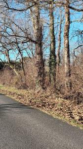 Acheter Terrain  Gironde