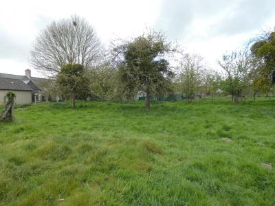 Annonce Vente Terrain Dol-de-bretagne 35