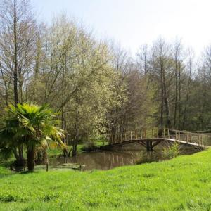 Annonce Vente 8 pi�ces Maison Saint-paul-en-gatine 79