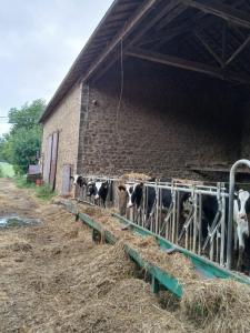 Acheter Prestige Saint-laurent-sur-gorre Haute vienne