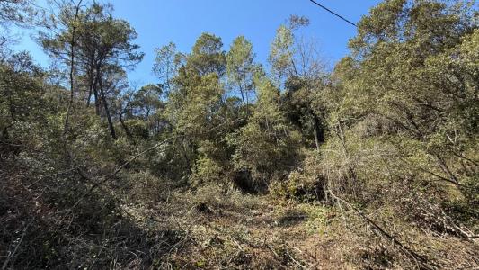 Annonce Vente Domaine forestier Entrecasteaux 83