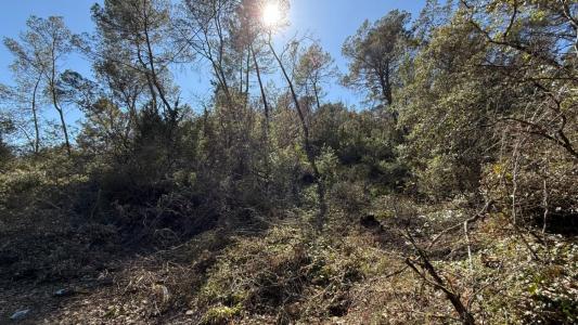 Acheter Domaine forestier 5220 m2 Entrecasteaux