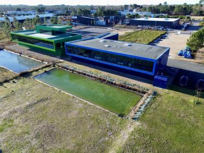 Annonce Location Commerce Mios 33