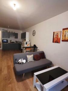 For rent Perpignan 1 room 49 m2 Pyrenees orientales (66000) photo 2