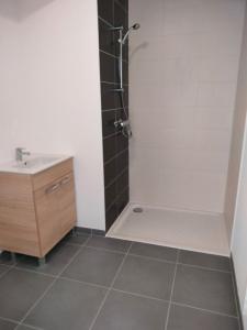 Louer Appartement 29 m2 Sorinieres