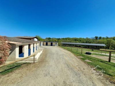 Acheter Prestige Aillas Gironde