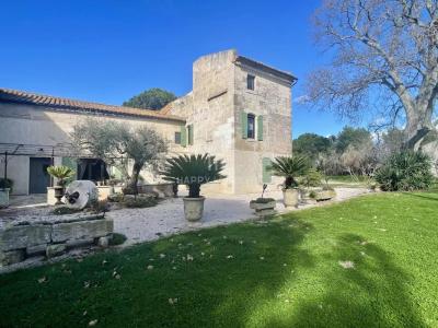 Acheter Maison 450 m2 Arles