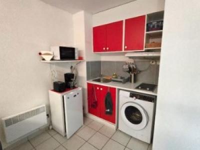 Annonce Location 2 pi�ces Appartement Hourtin 33