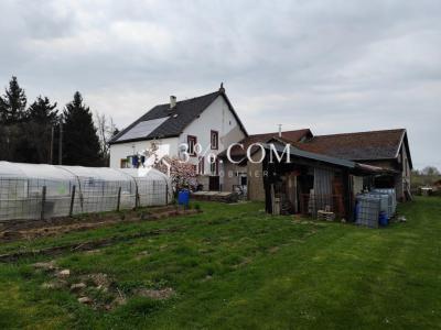 Acheter Maison 220 m2 Avricourt