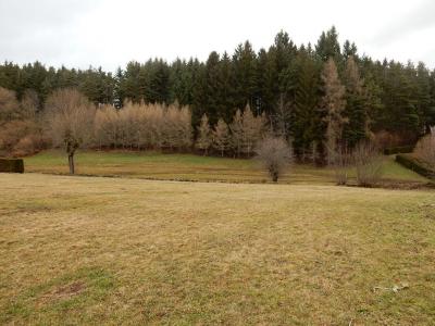 Annonce Vente Terrain Raucoules 43