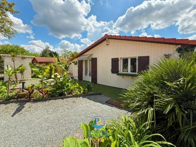 Annonce Vente 13 pi�ces Maison Vendays-montalivet 33