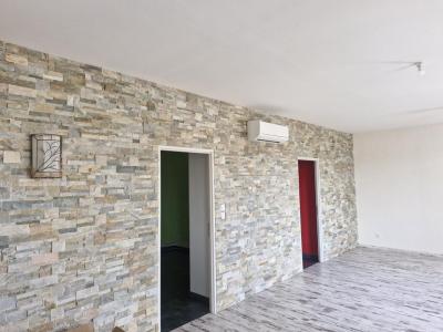 Acheter Immeuble Loire-sur-rhone 550000 euros