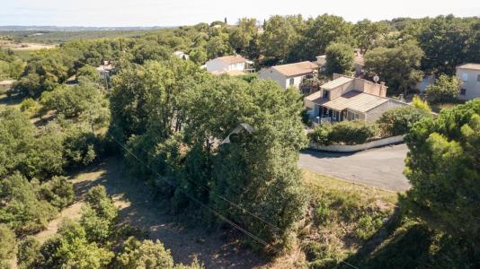 Annonce Vente 6 pi�ces Maison Nizas 34