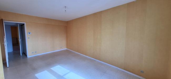 Acheter Appartement Chazelles-sur-lyon Loire