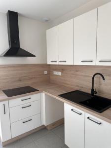 Annonce Vente 4 pi�ces Maison Albi 81