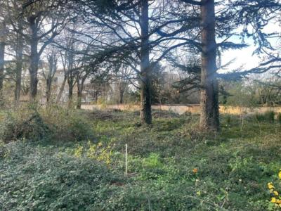 Annonce Vente Maison Lyon-5eme-arrondissement 69