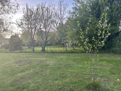 Acheter Maison Martillac Gironde