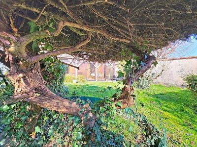 Acheter Maison Verpilliere 275000 euros