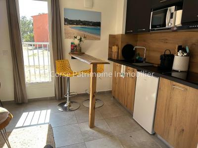 Acheter Appartement 25 m2 Lecci