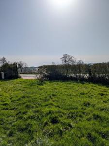 Annonce Vente 3 pi�ces Maison Treban 03