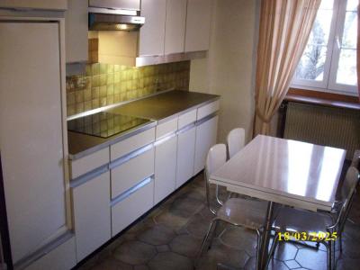 Louer Appartement 60 m2 Guebwiller