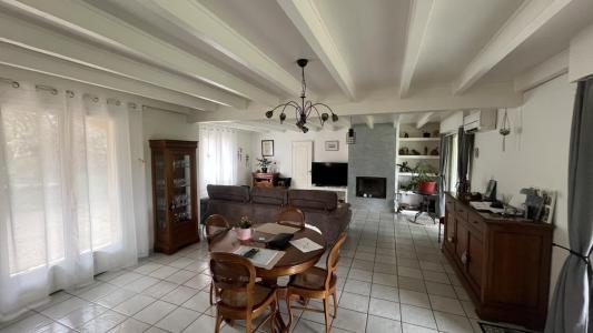 Annonce Vente 5 pi�ces Maison Caunes-minervois 11
