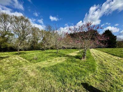 Acheter Maison  291500 euros