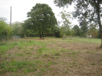 Annonce Vente Terrain  33