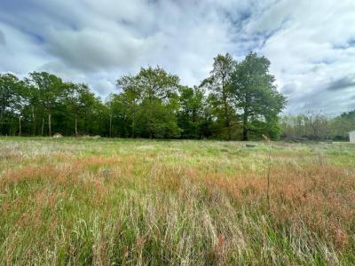 For sale Galgon 4000 m2 Gironde (33133) photo 0