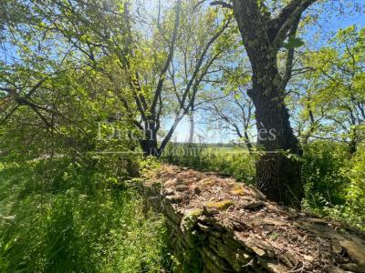 For sale Uzes 1211 m2 Gard (30700) photo 0