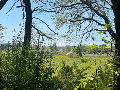 Annonce Vente Terrain Uzes 30