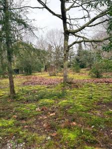 Acheter Maison 150 m2 Gradignan