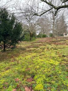 Acheter Maison Gradignan Gironde