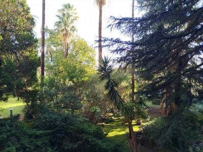 Annonce Vente 2 pi�ces Appartement Cannes 06