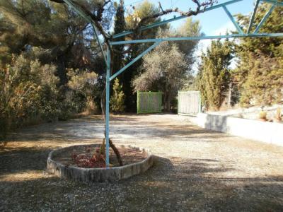 For sale Nice 2600 m2 Alpes Maritimes (06100) photo 0