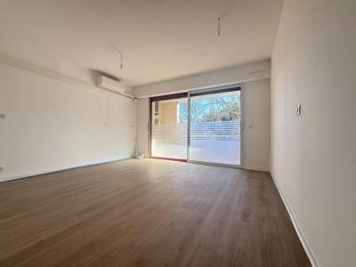 Louer Local commercial Cagnes-sur-mer Alpes Maritimes