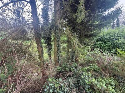 For sale Seltz 6 rooms 130 m2 Bas rhin (67470) photo 2