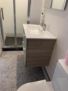 Louer Appartement Nancy 525 euros