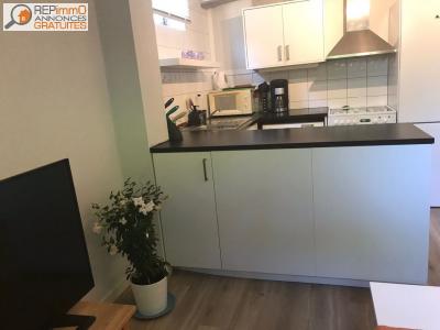 Louer Appartement Aix-en-provence 500 euros