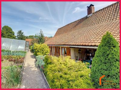 Annonce Vente 4 pi�ces Maison Ergny 62