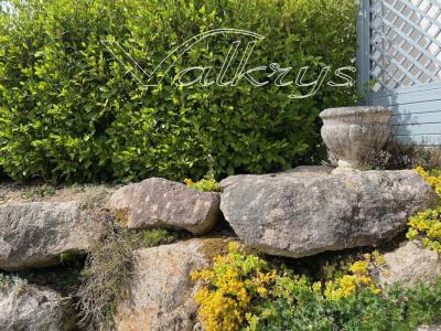 Acheter Maison 113 m2 Bannalec